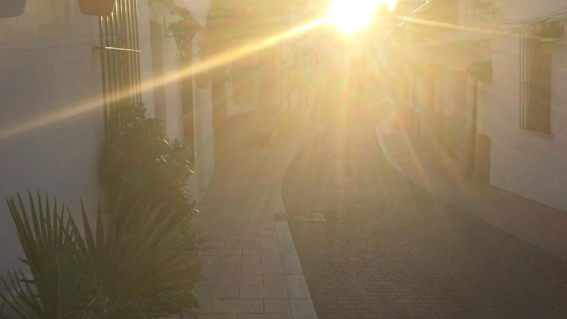 Estepona 1